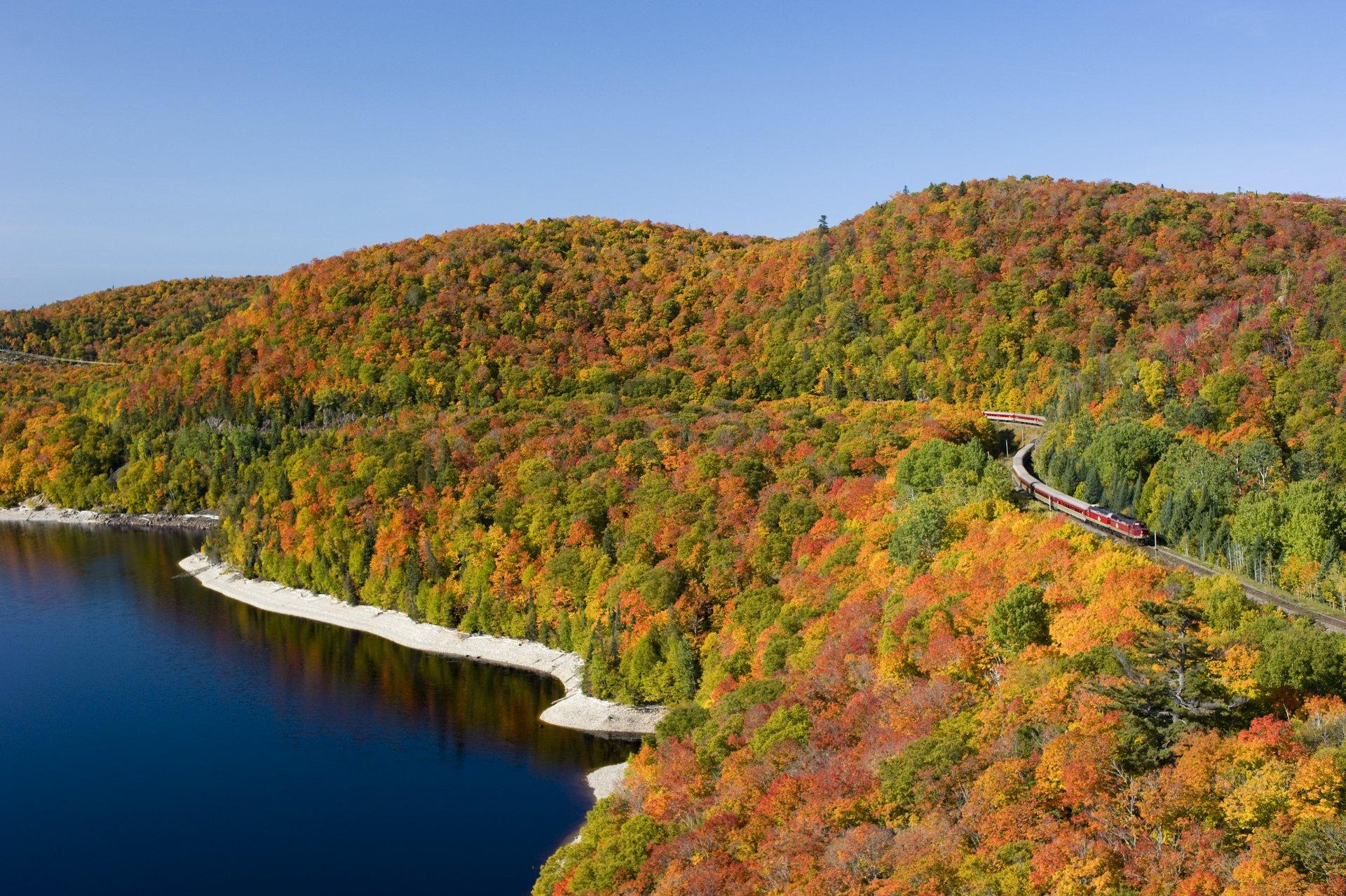 Coastline in fall