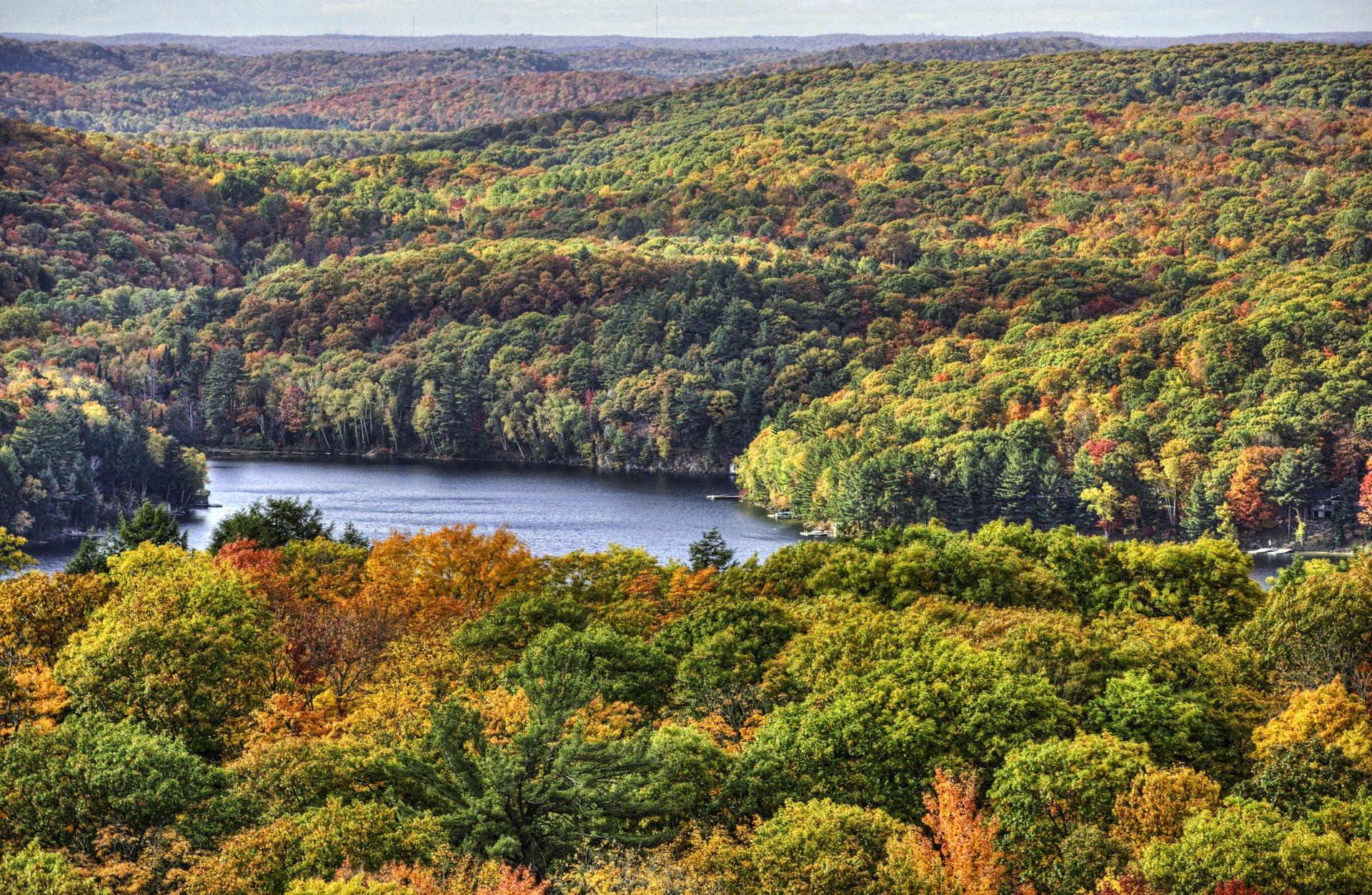 Fall colours