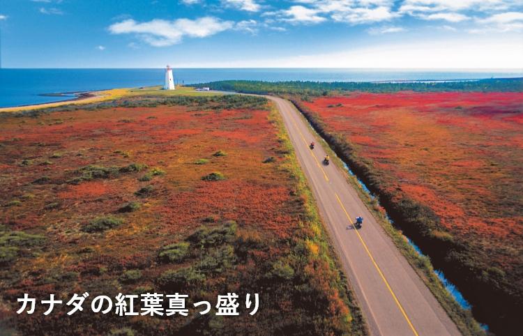 カナダの紅葉真っ盛り