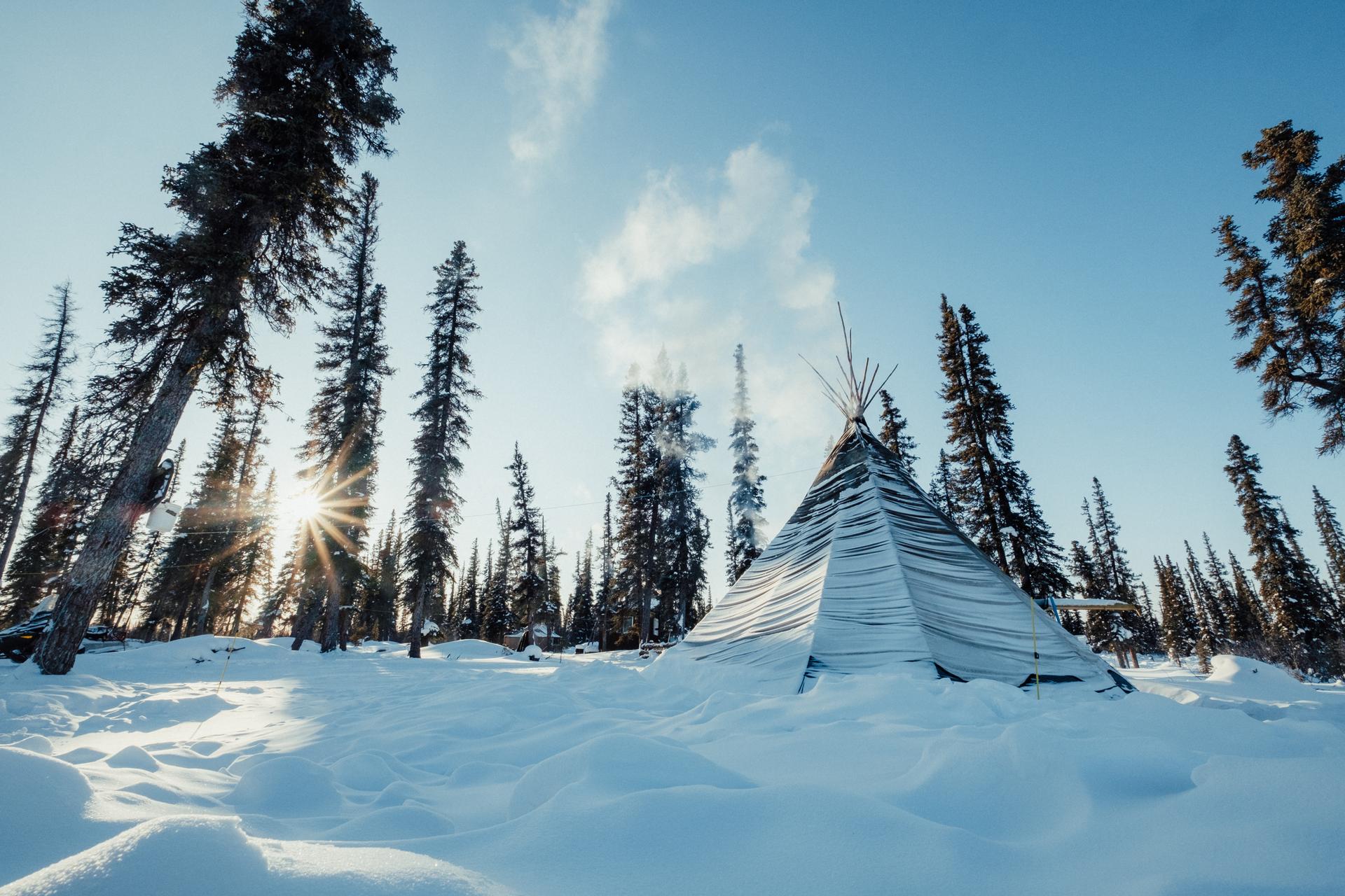 Snowy mountain with trees