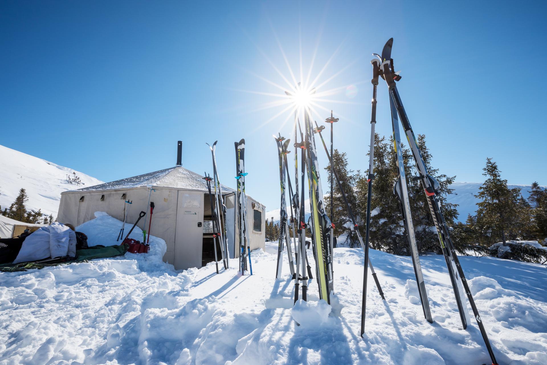 Backcountry hut in Park national Tursujuq 