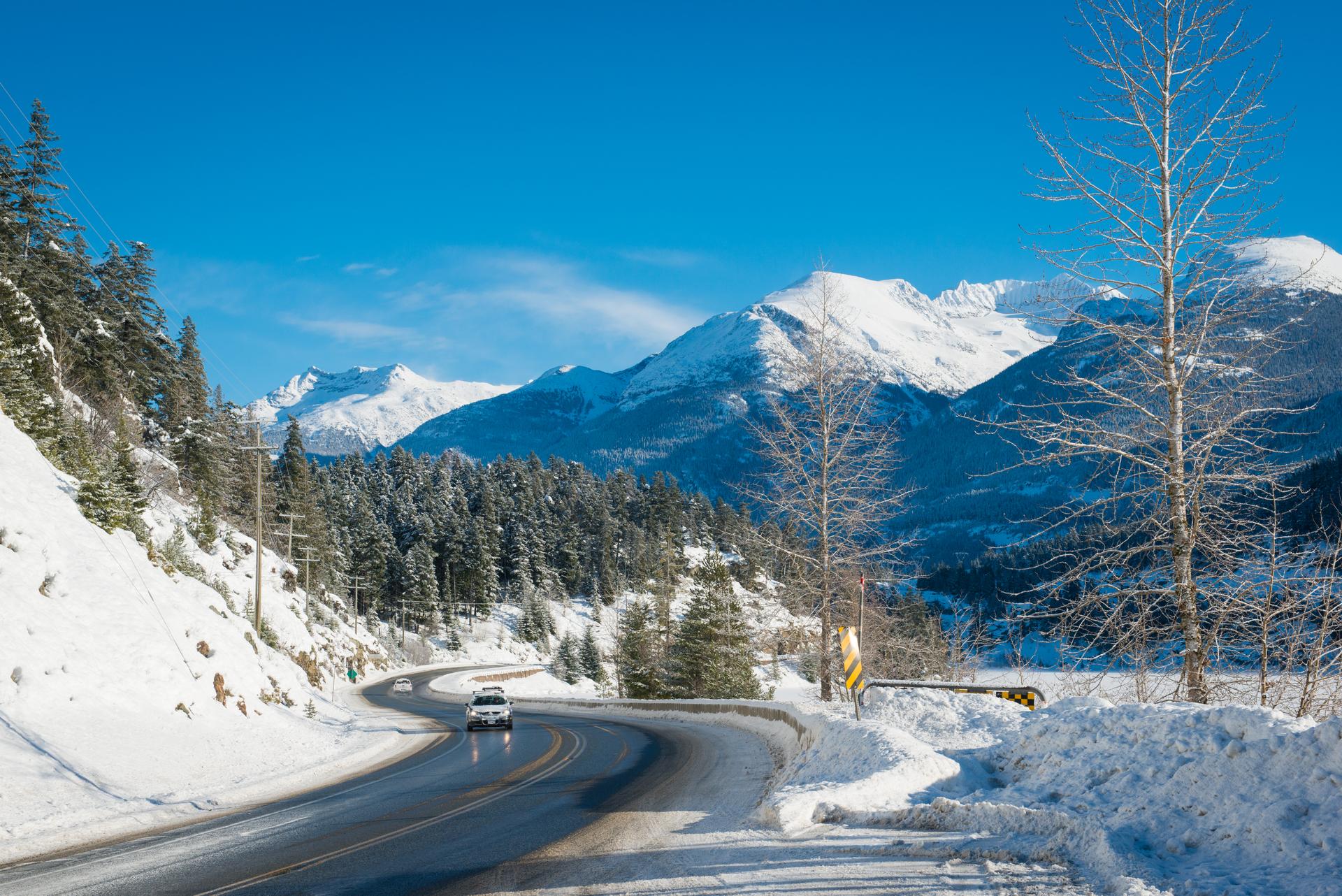 A snowy road curves through trees with mountains in the background and a clear blue sky.