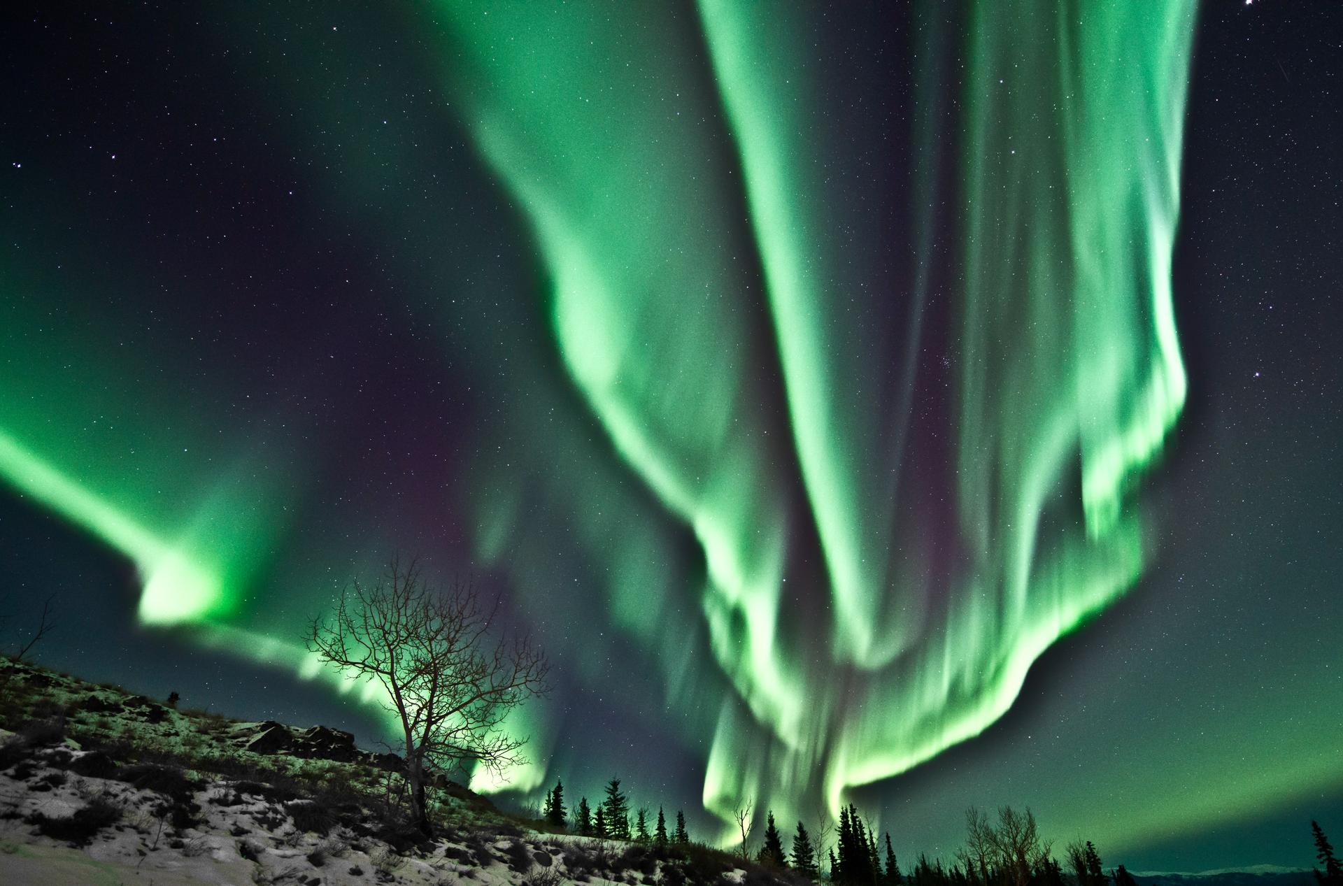 Yukon's Northern Lights