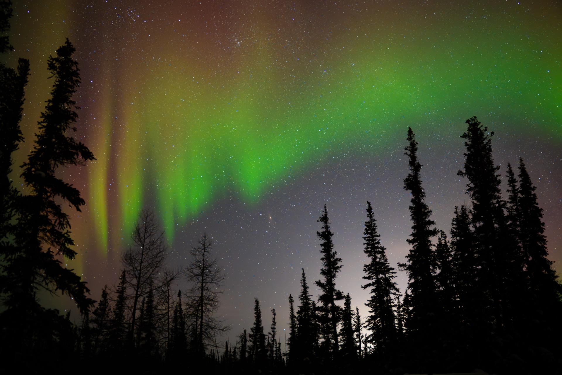 Manitoba's Northern Lights