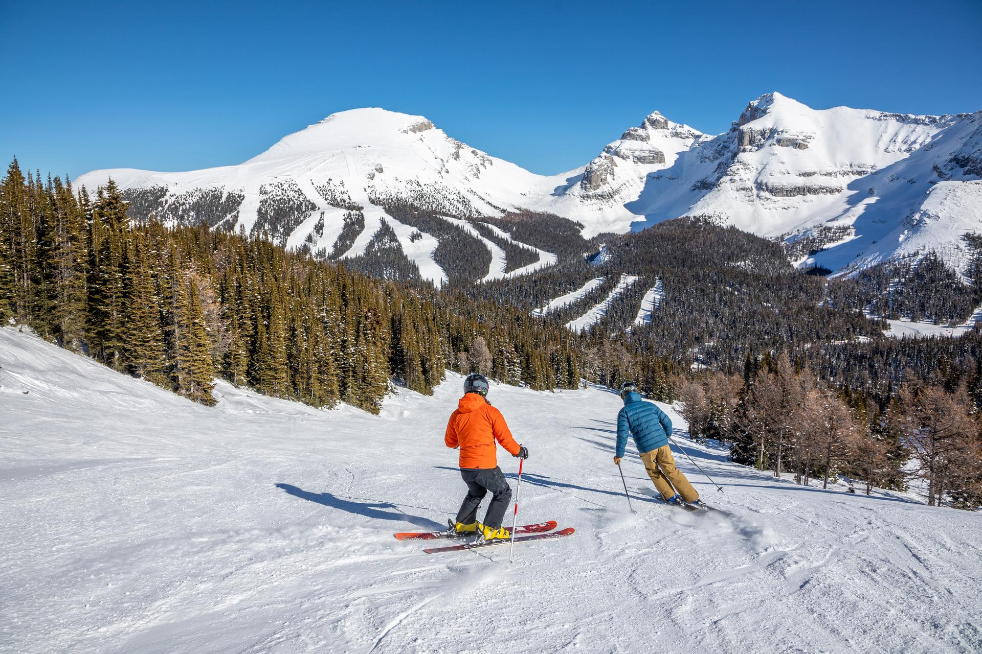 Two people skiing down a forested hillside on a sunny day with snowy mountains in the background.