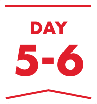 DAY 5-6