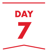 DAY 7