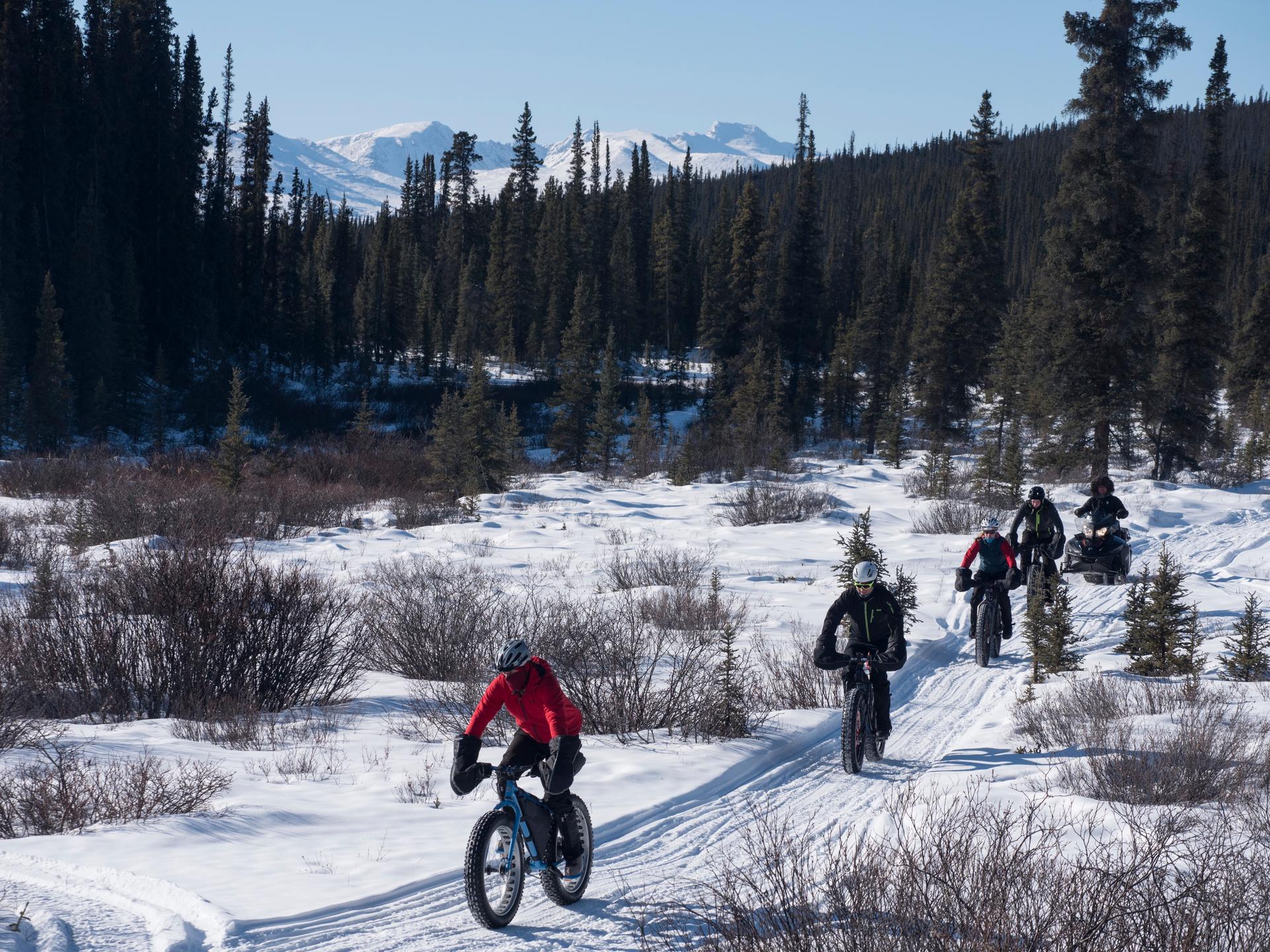 A group of people biking down a snowy trail on bicycles with fat snow tires.