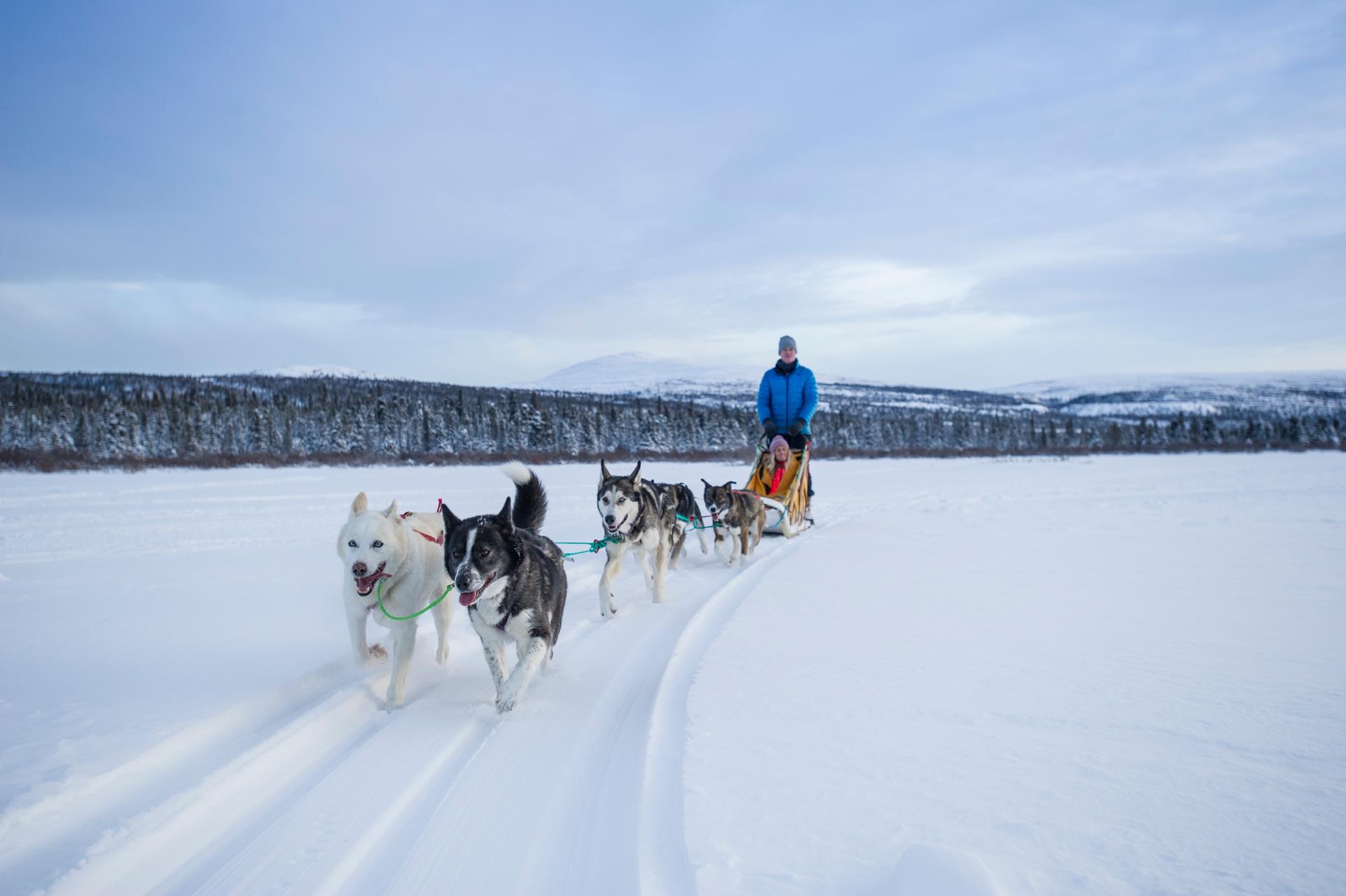 Two people riding a sled pulled by a group of sled dogs across a snowy plain.