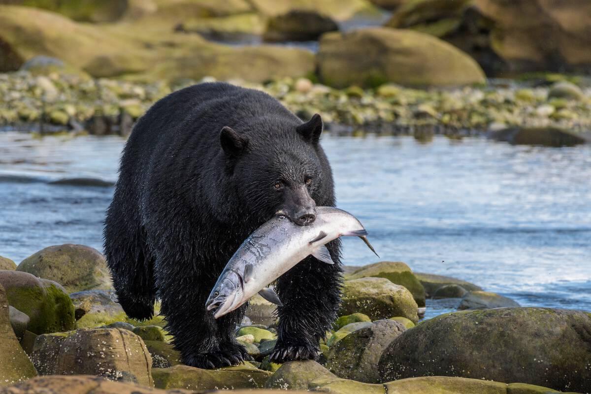 british columbia