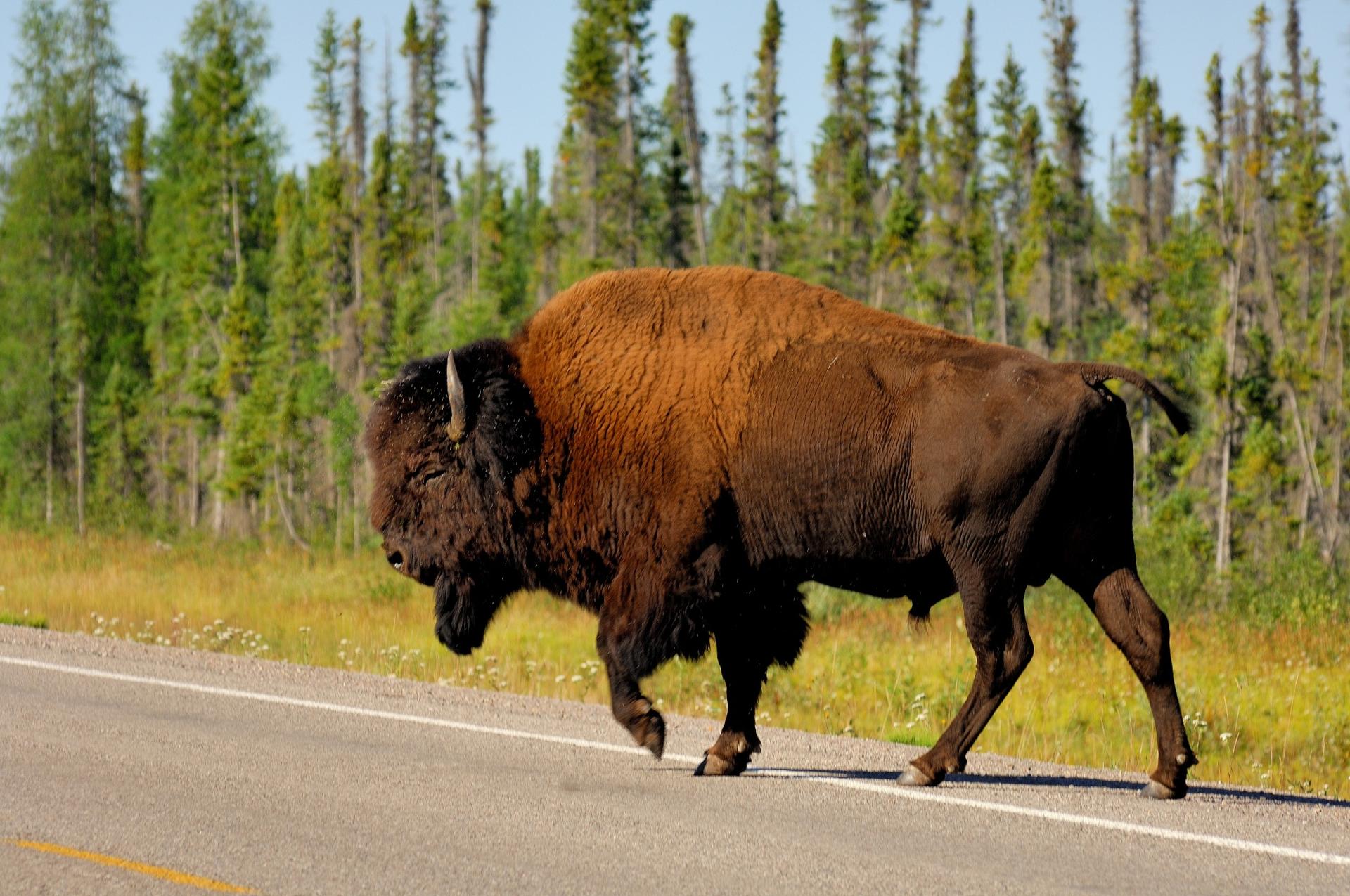 Northwest Territories