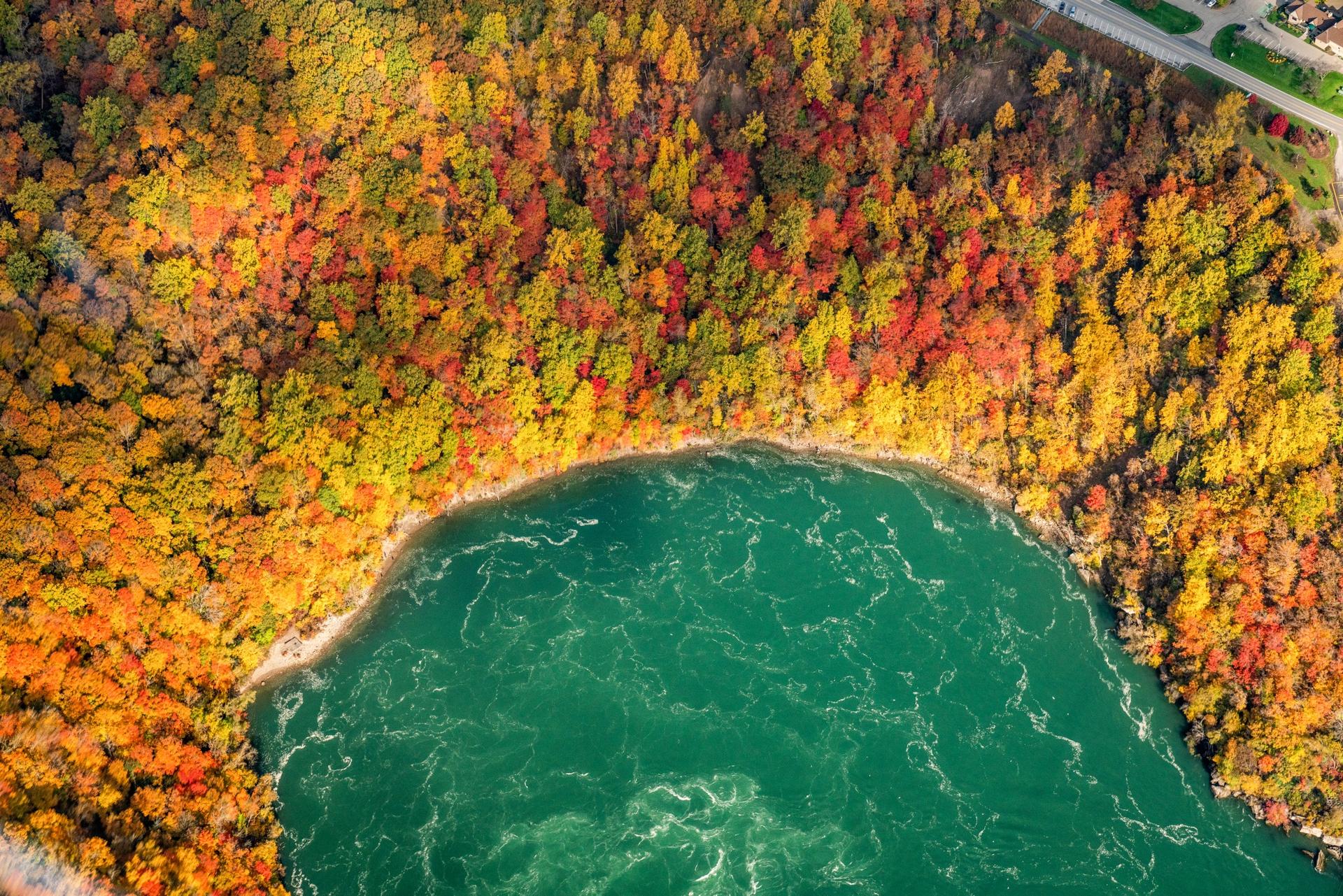 Aerial view of a vibrant autumn forest bordering the swirling waters of Niagara Falls