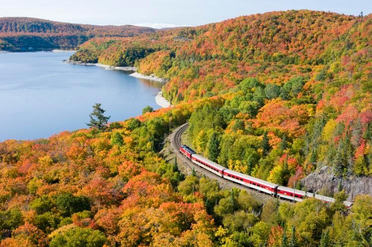 Train winding through a vibrant autumn forest