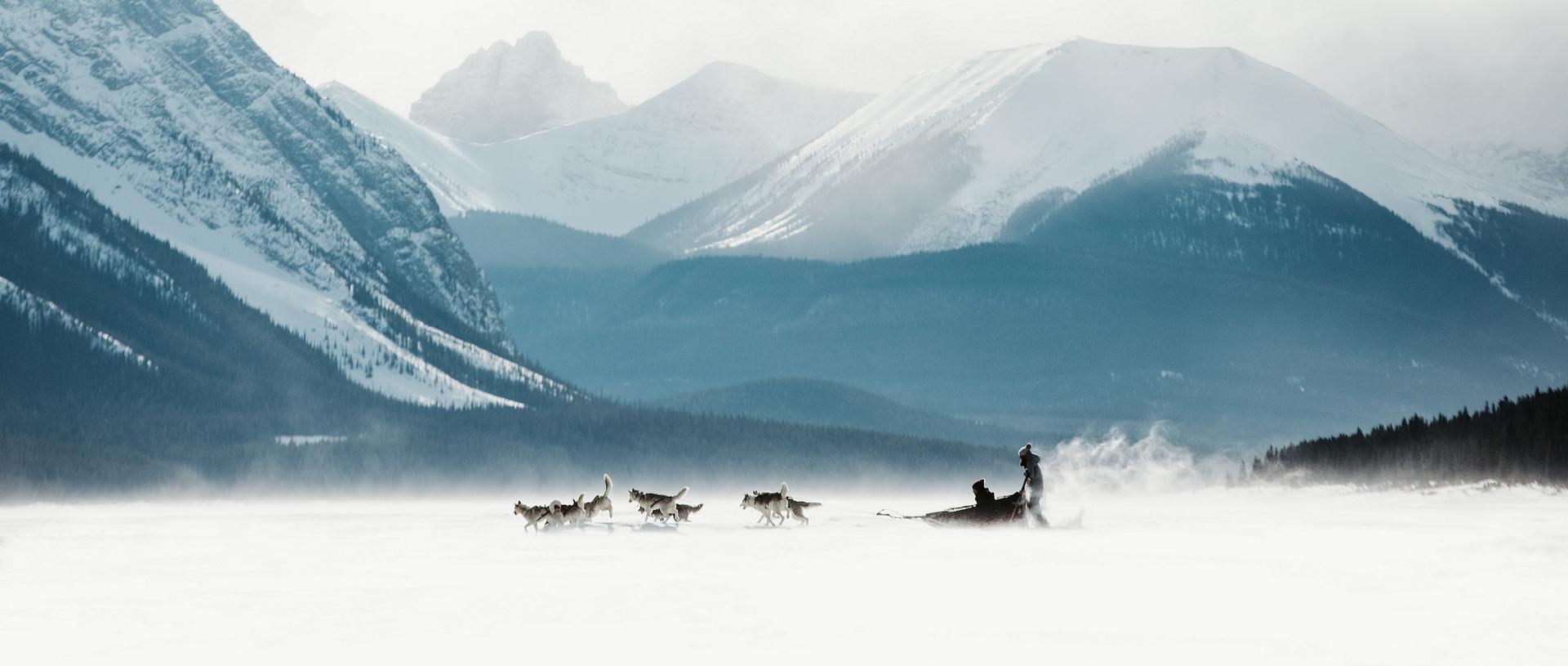 Travel Through Canada With Dog: Ultimate Guide for Pet-Friendly Adventures