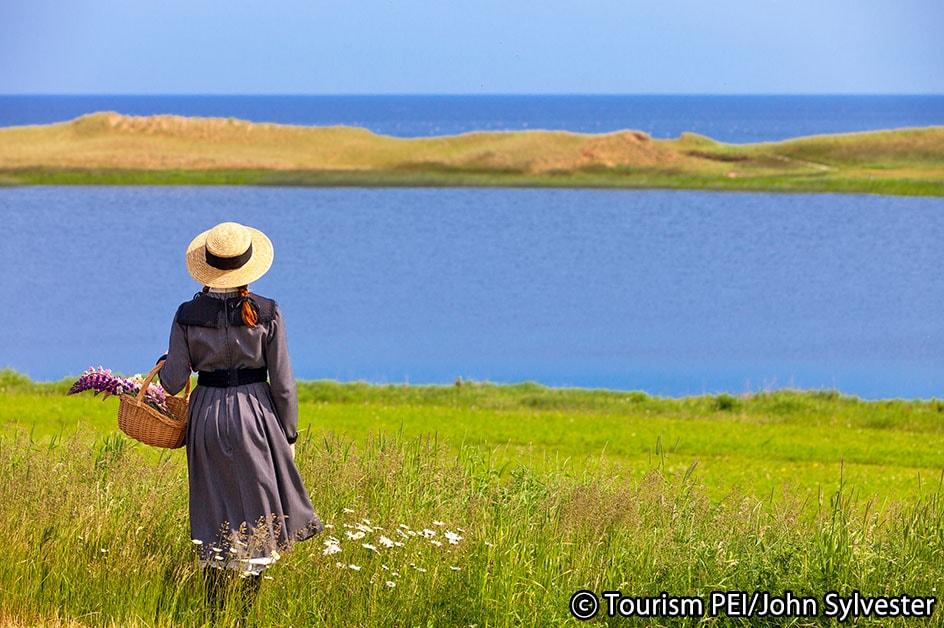 エア・カナダで行く！往復送迎付 「赤毛のアン」の少女時代と青春時代をめぐるプリンスエドワード島6日間