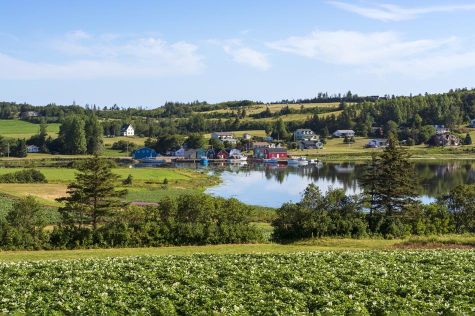 赤毛のアンゆかりの地と美食のアイランド プリンスエドワード島 ７日間