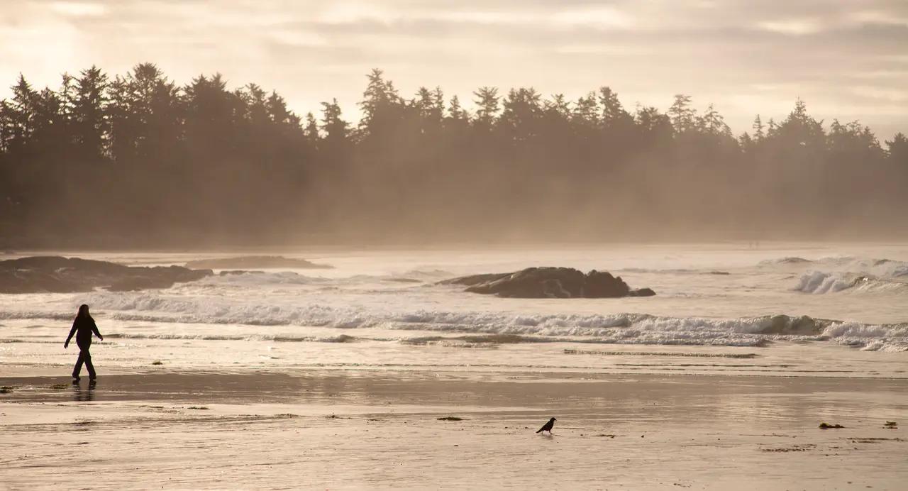 Surf coastline and beaches in Tofino, British Columbia