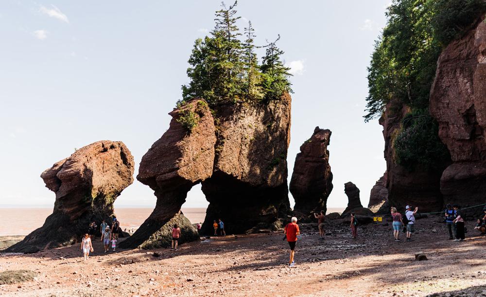 ファンディ湾 イメージ