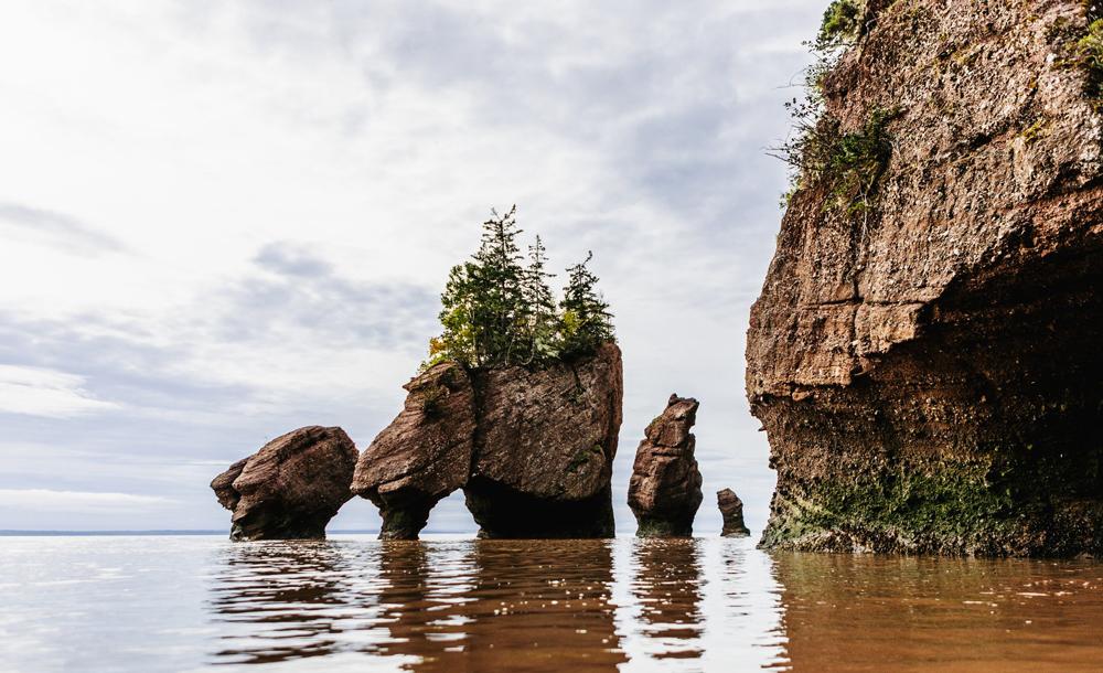 ファンディ湾 イメージ