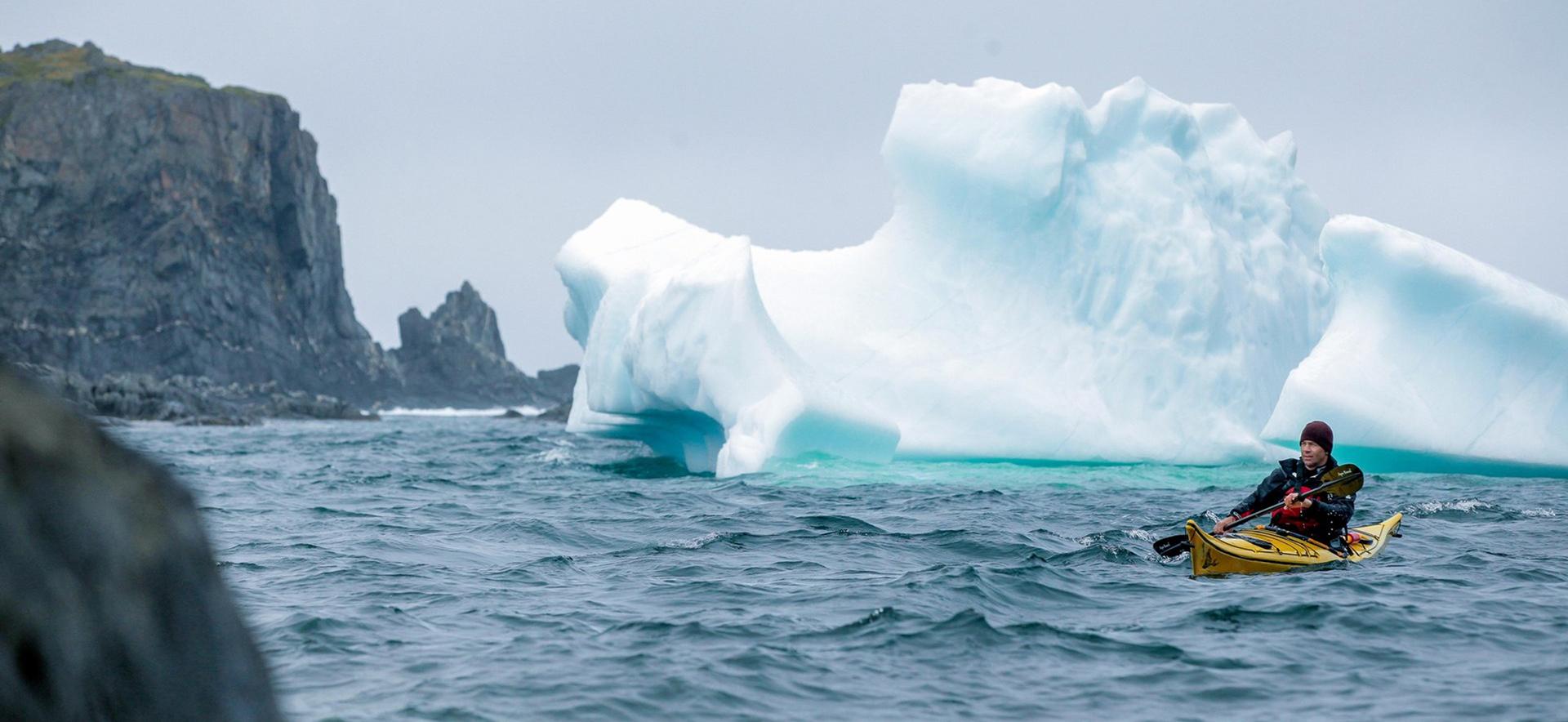 ニューファンドランド島