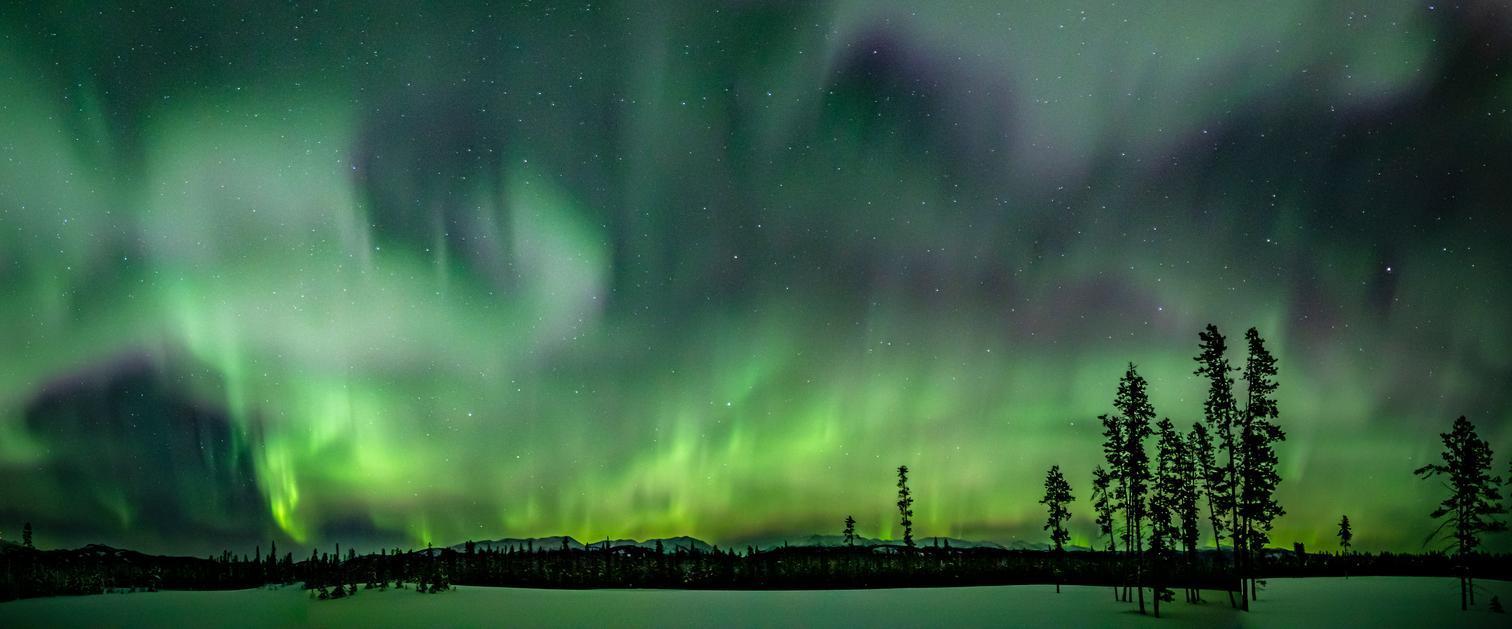 A magnificant display of the northern lights at the Northern Lights Resort & Spa, Whitehorse Yukon