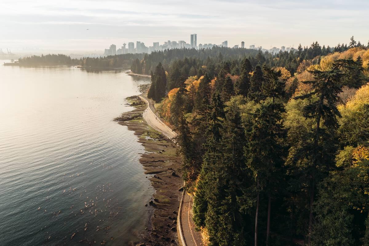 aerial view of vancouver seawall taken from lion's gate bridge in vanouver, bc 