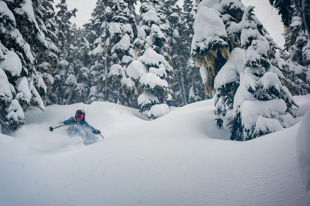 whistler