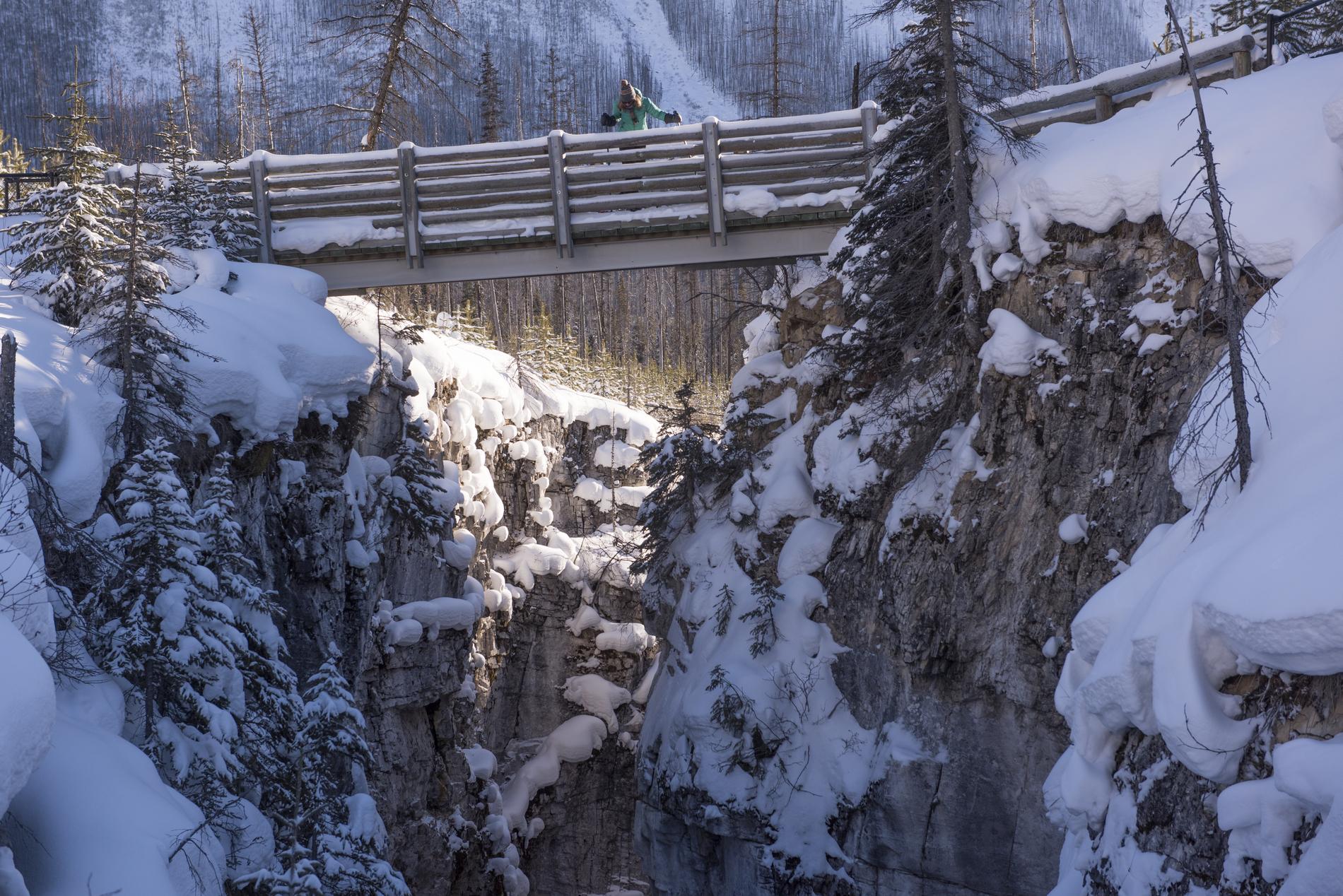 5 unexpected Canadian national parks to visit this winter