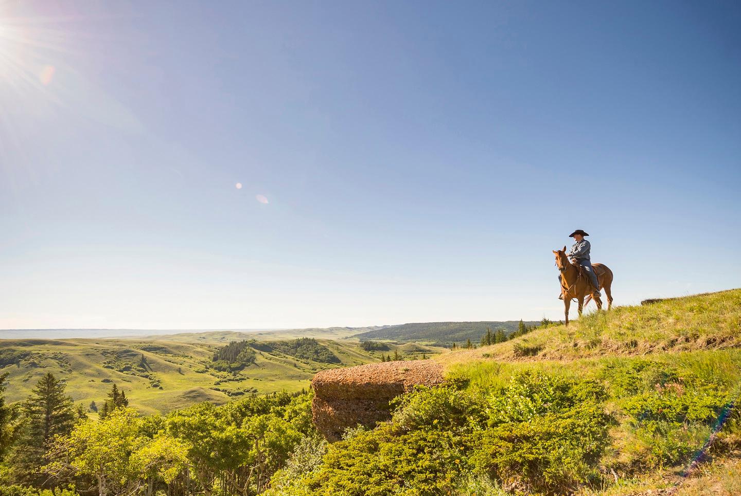Im Cypress Hill Interprovincial Park – Foto: Tourism Saskatchewan