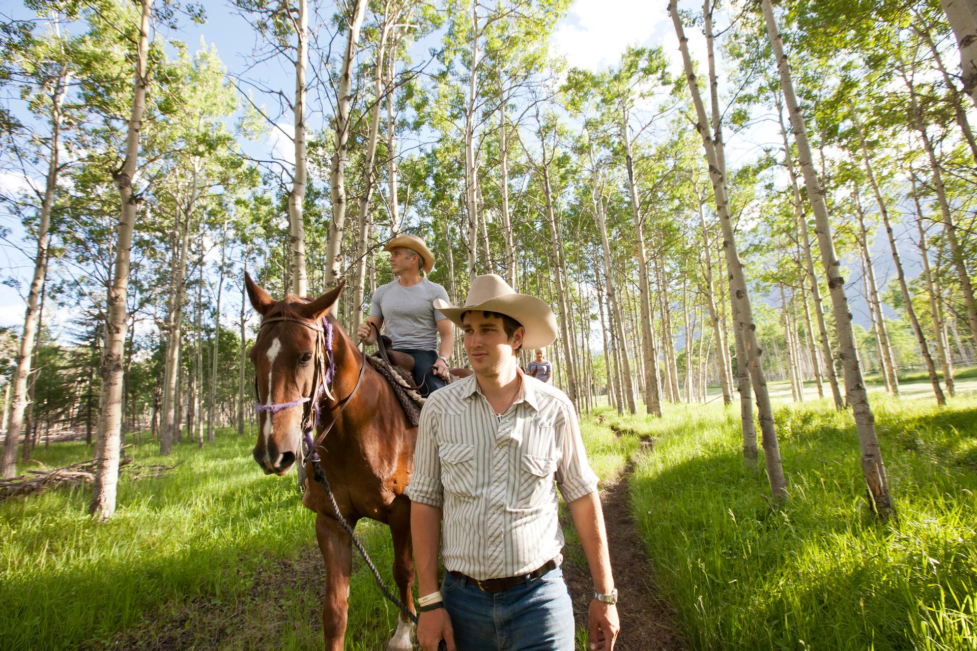 Cowboy Alberta