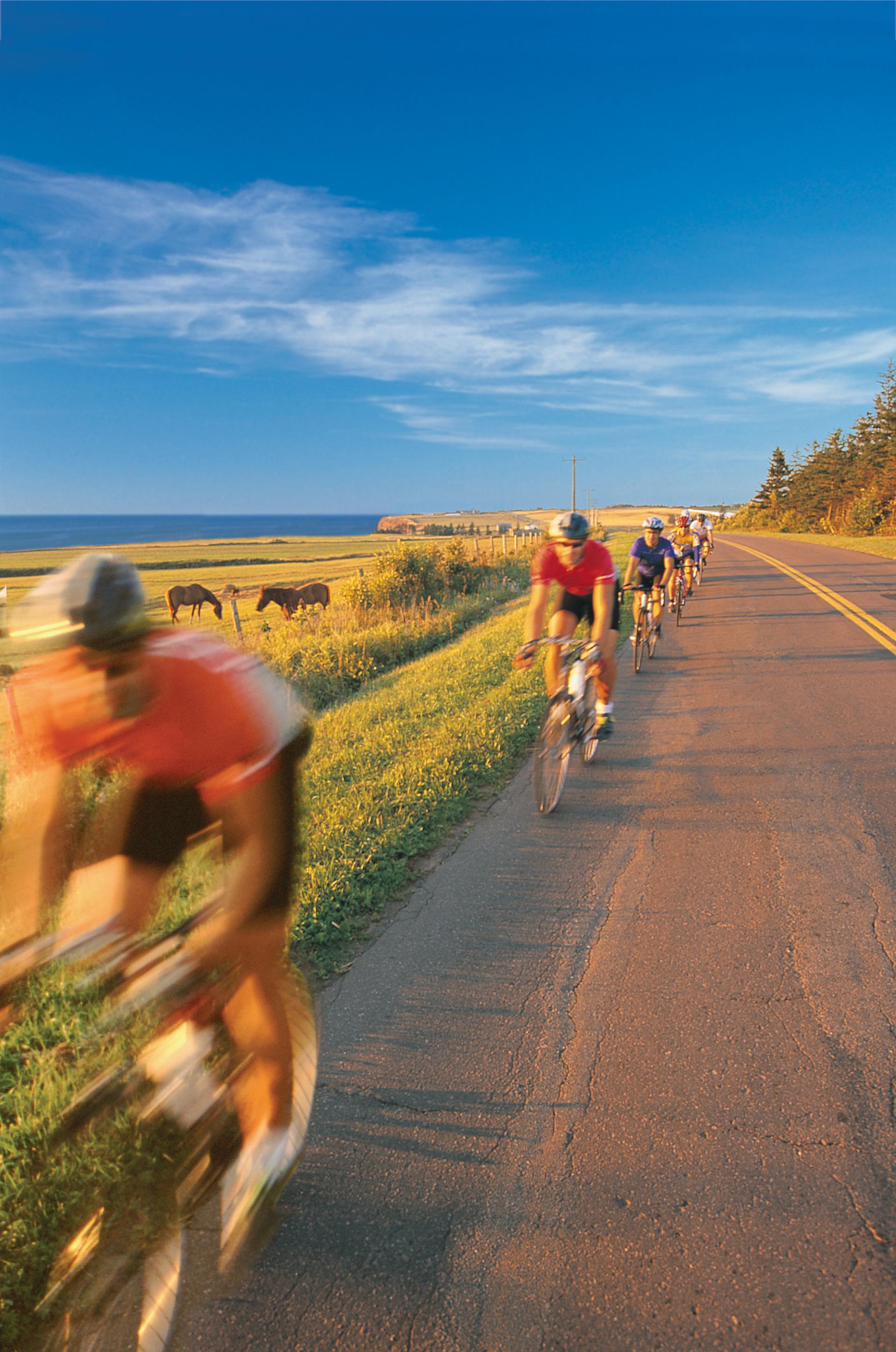 Cycling at Cape Wolfe