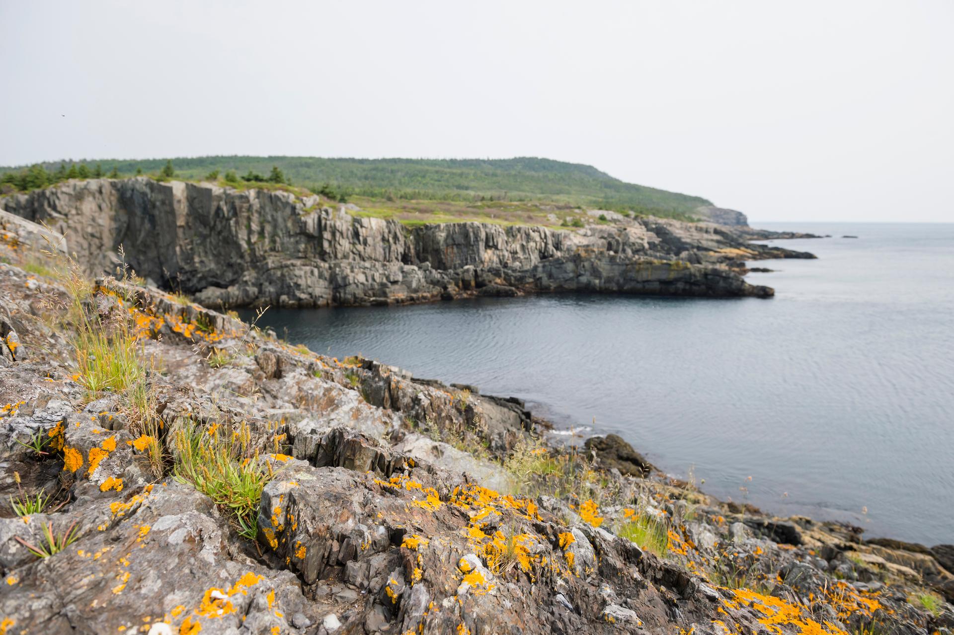 East Coast Trail