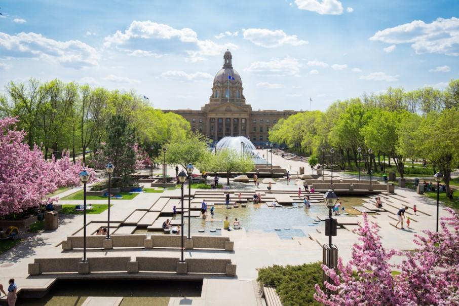 Photo of cherry blossoms at the Alberta Legislature Grounds