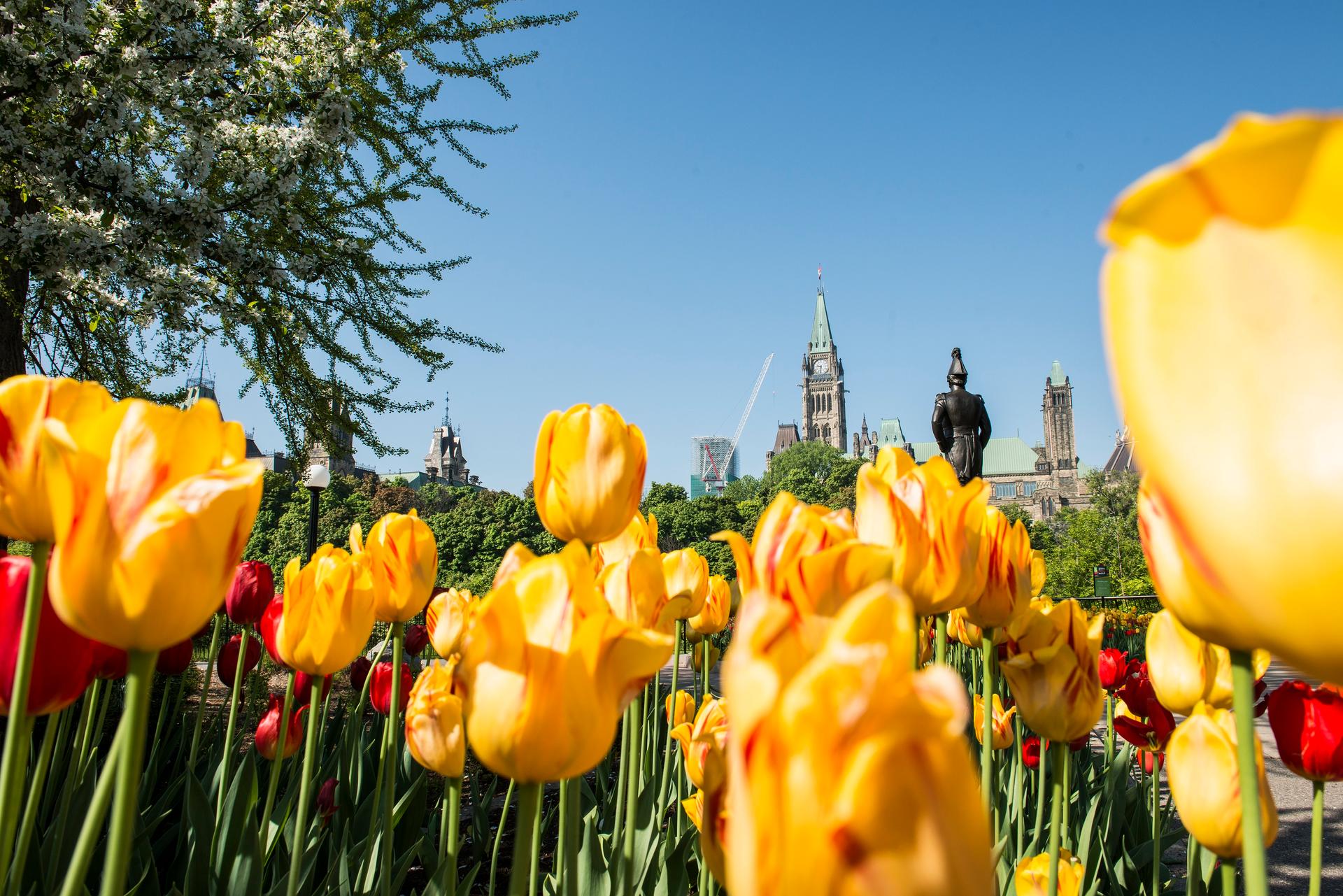 places to visit in april in ontario