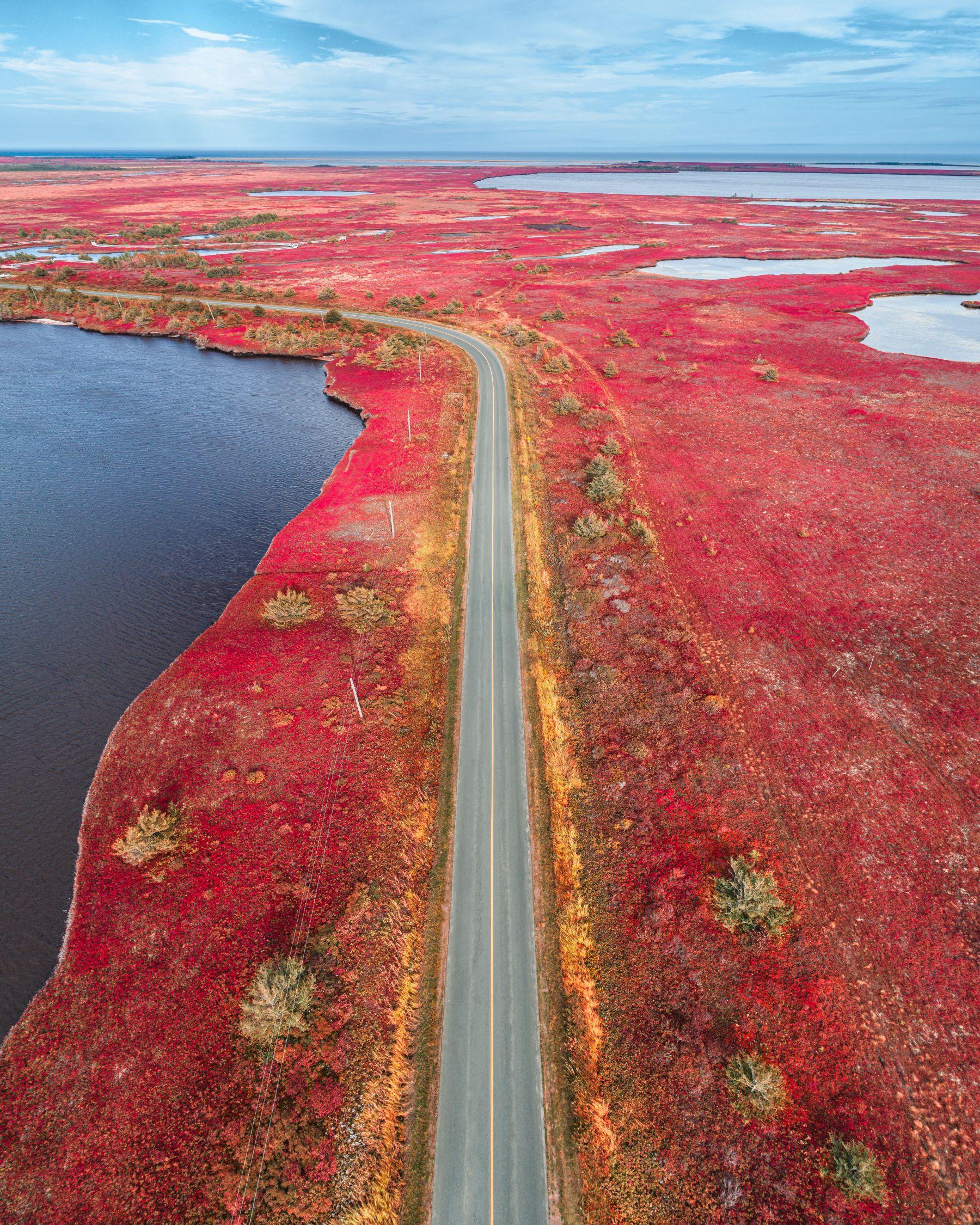 Acadian Reds - On The Water