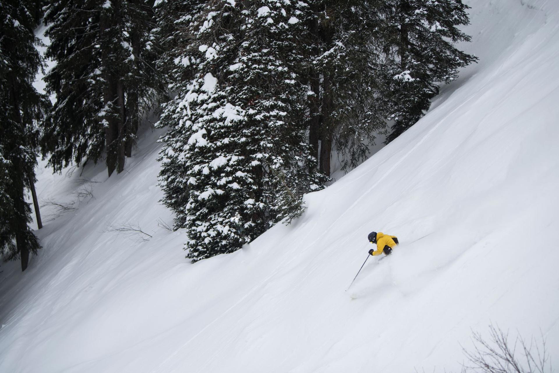 skiing in fernie