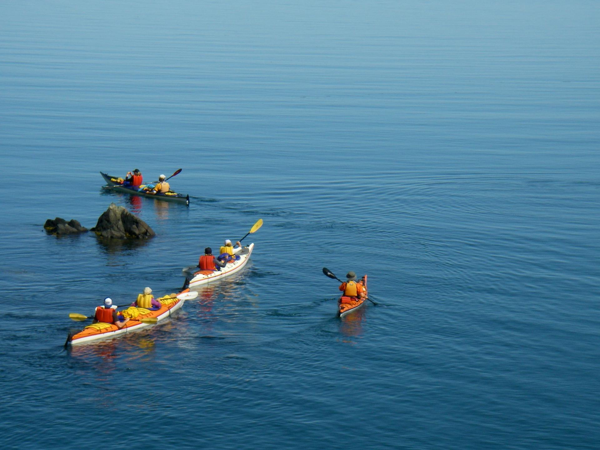 Sea Kayaking Tours New Brunswick