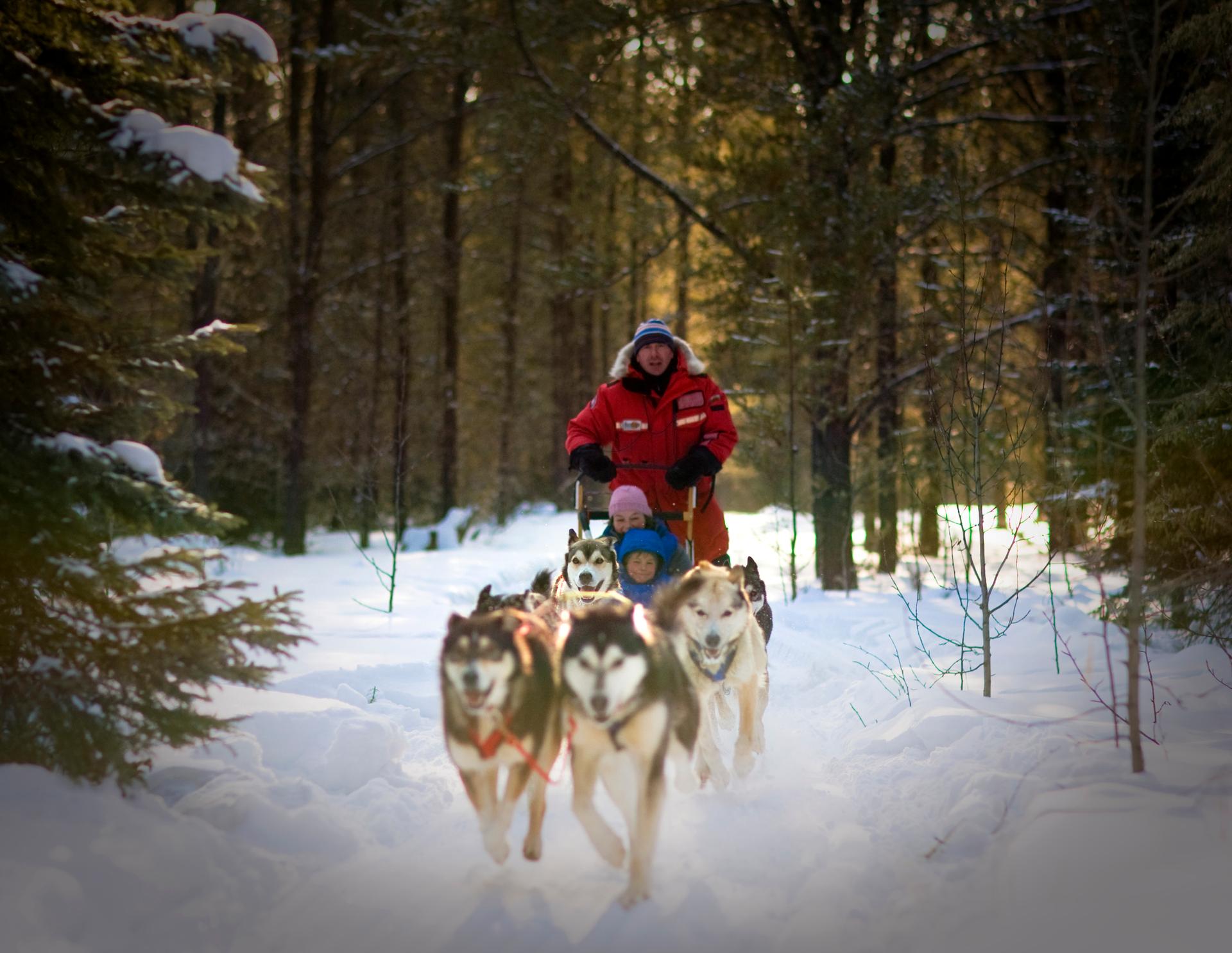 Around Anglin Lake through the boreal forest with Sundog Sled Excursions