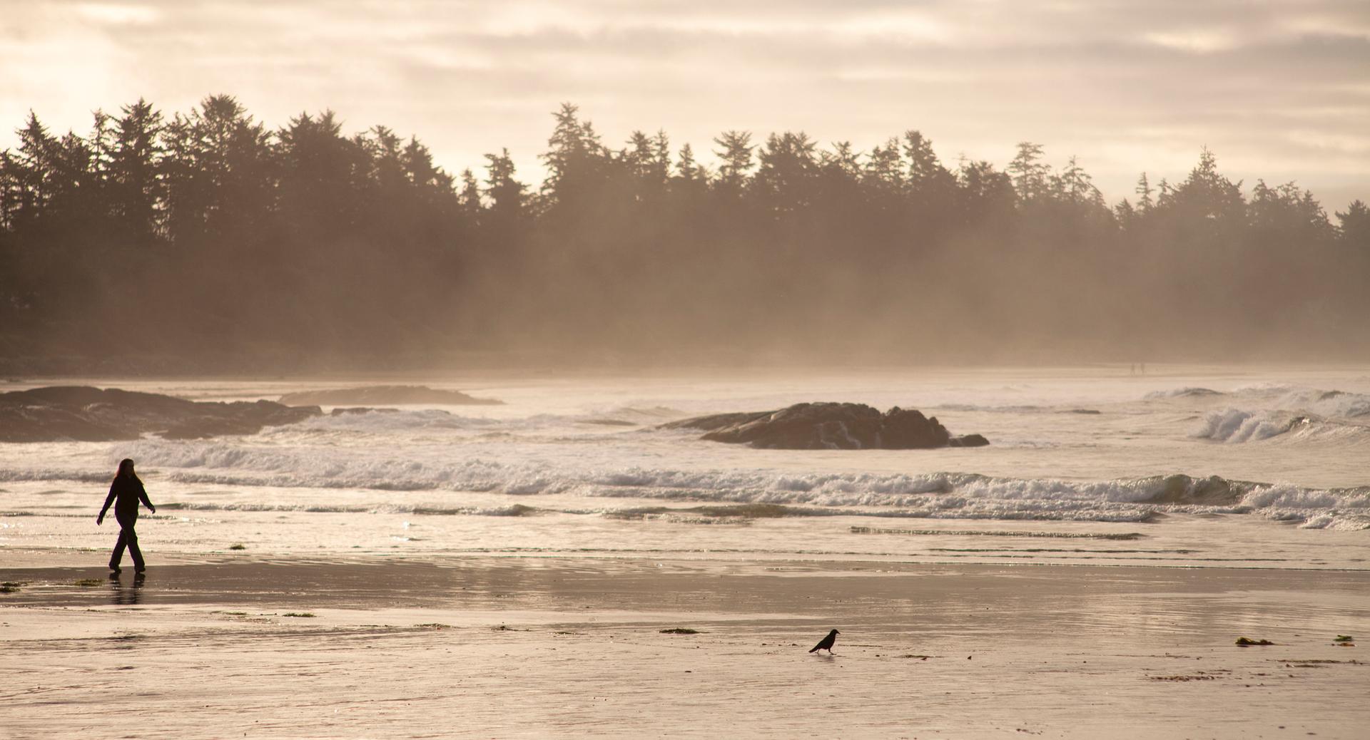 What to do in Tofino