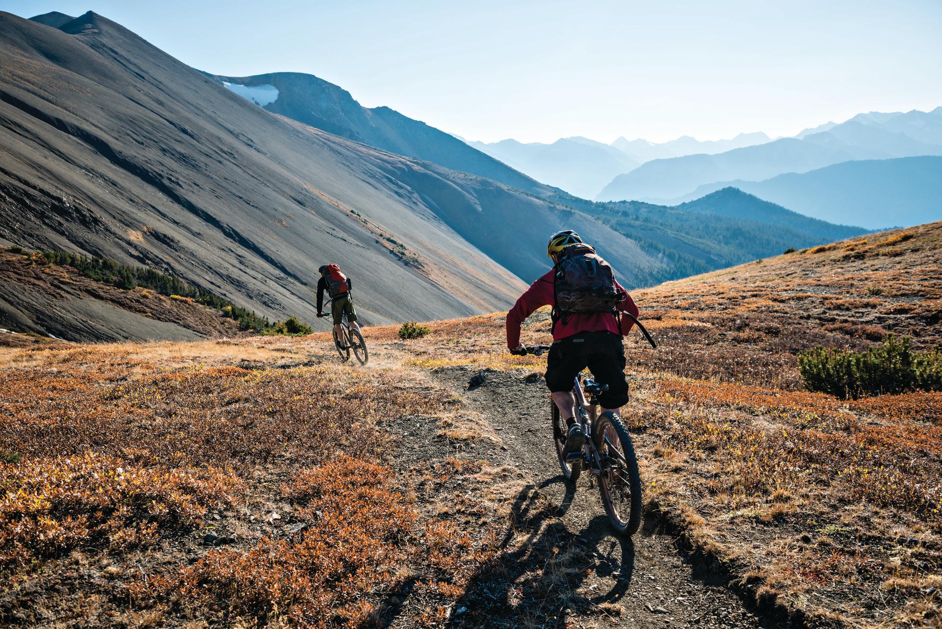 New Zealand's Ultimate Gravity Park - Mountain Bike Blog Post