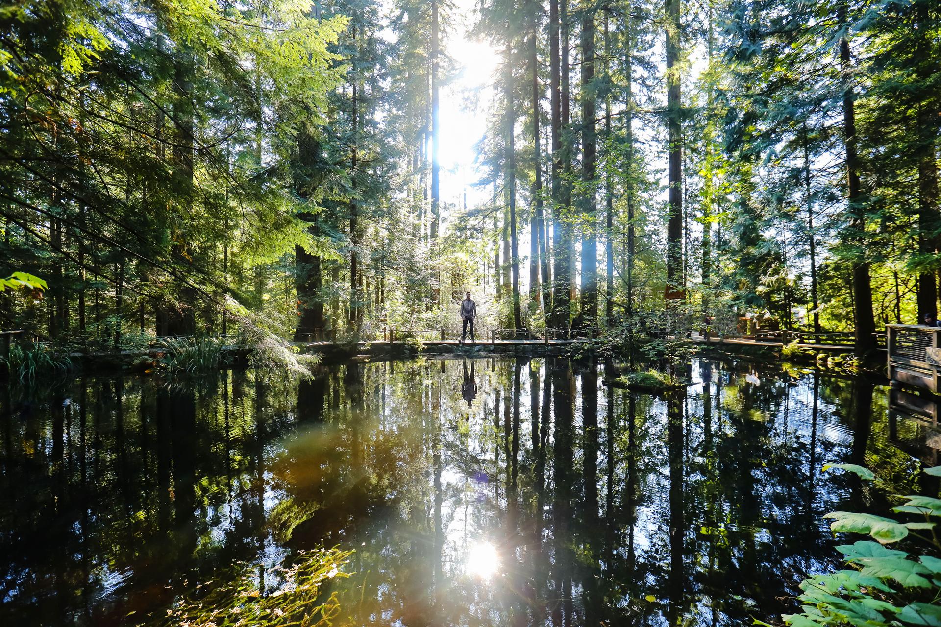 Le pont suspondu de Capilano