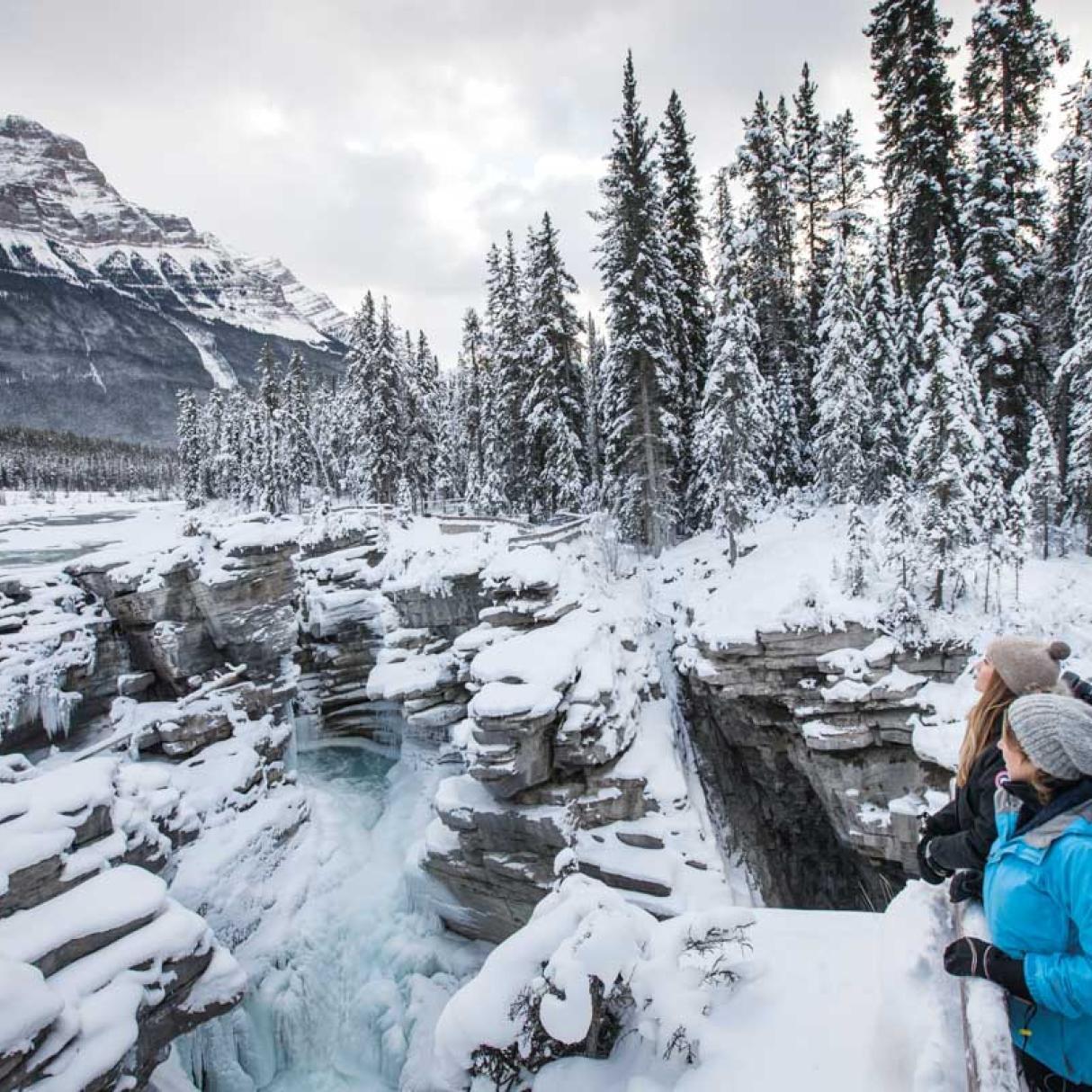 Cataratas de Athabasca en el Parque Nacional Jasper