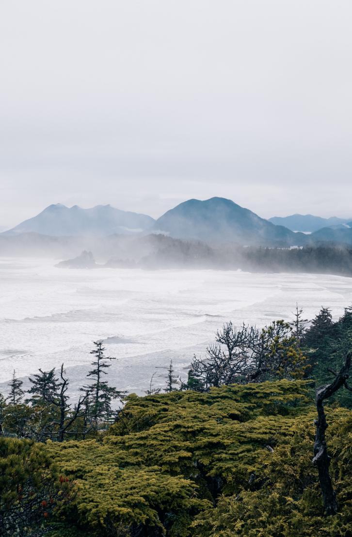 Tofino