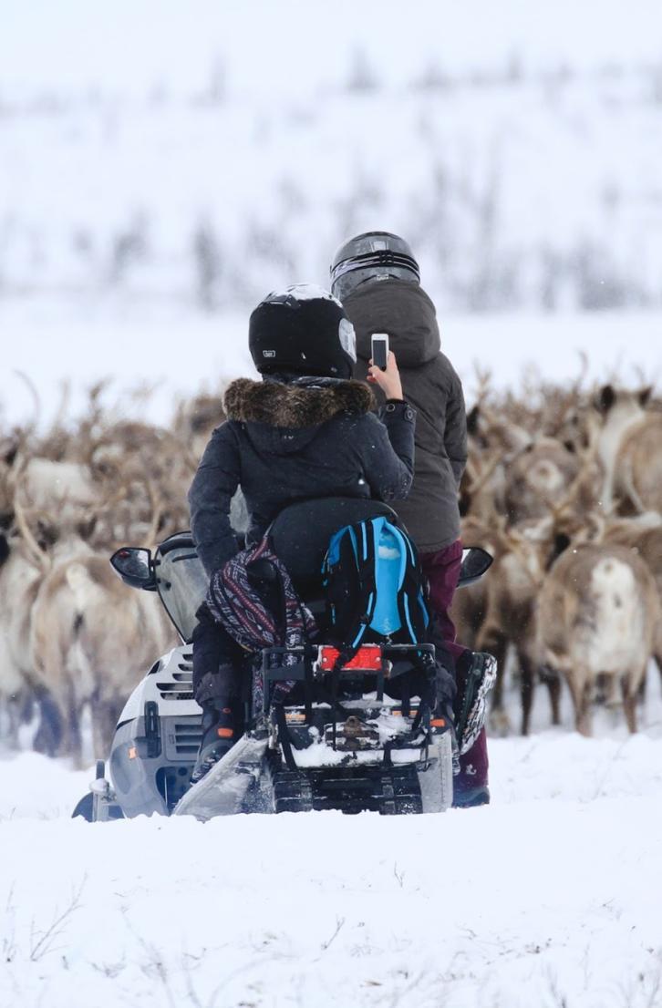 Canadian Arctic Reindeer Signature Package