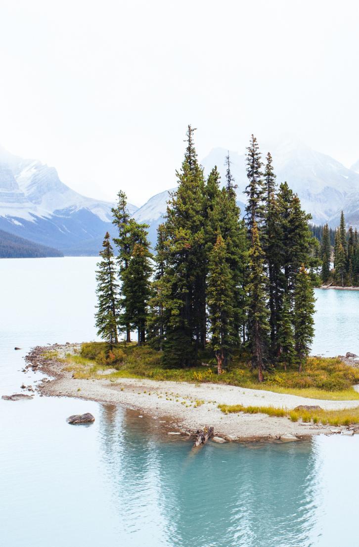 Maligne Lake Jasper