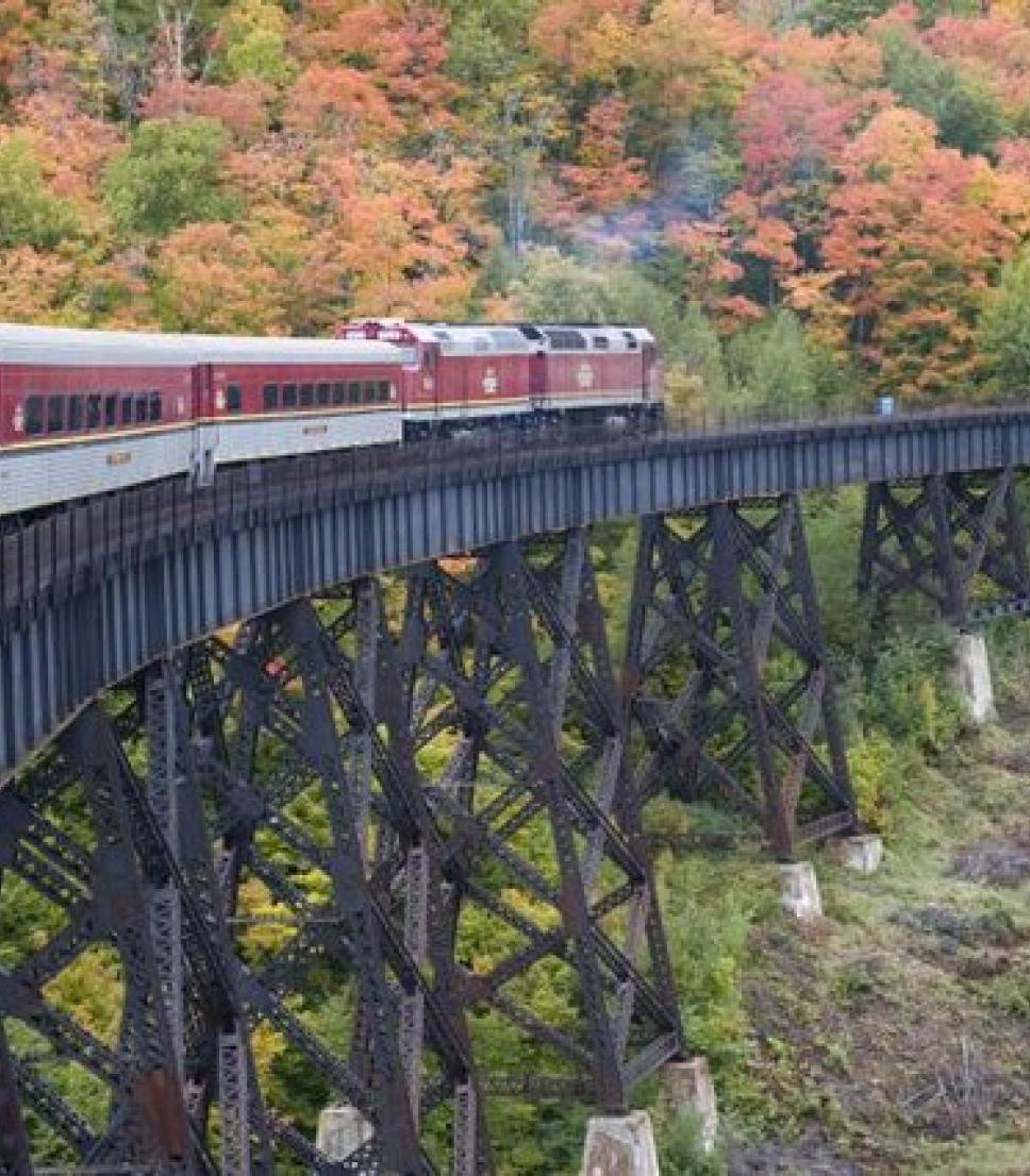 A train crosses a high bridge surrounded by colorful autumn trees