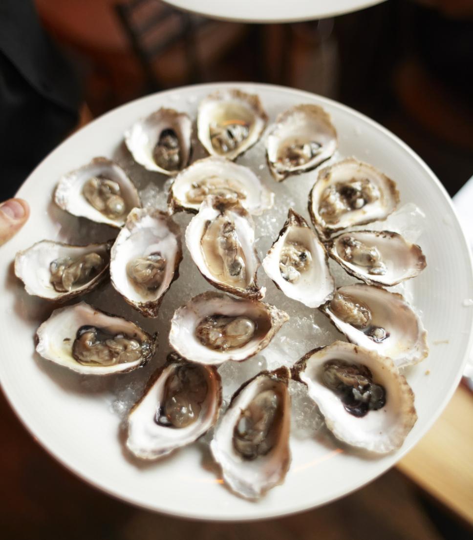 Oysters in Manitoba