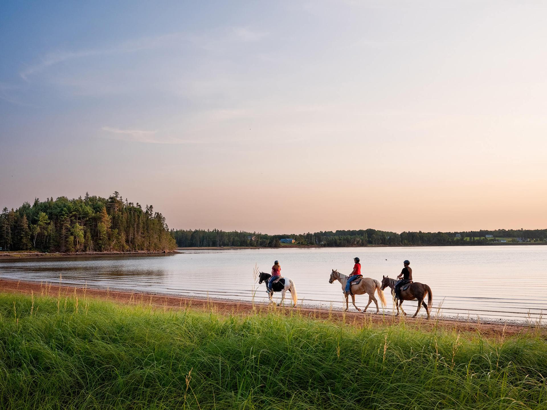 Three people riding horses on a PEI beach at dusk