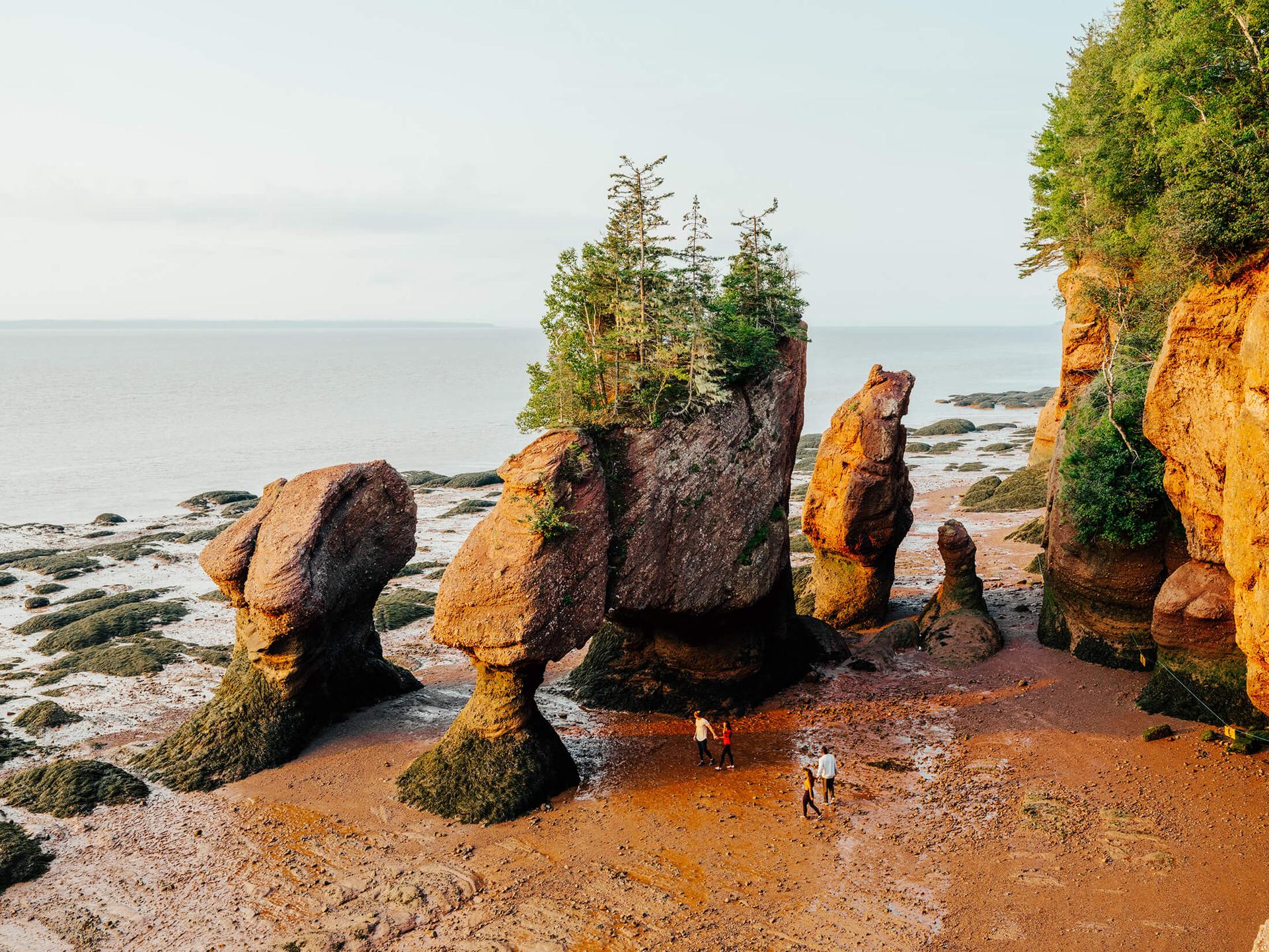 The Hopewell Rocks, at low tide