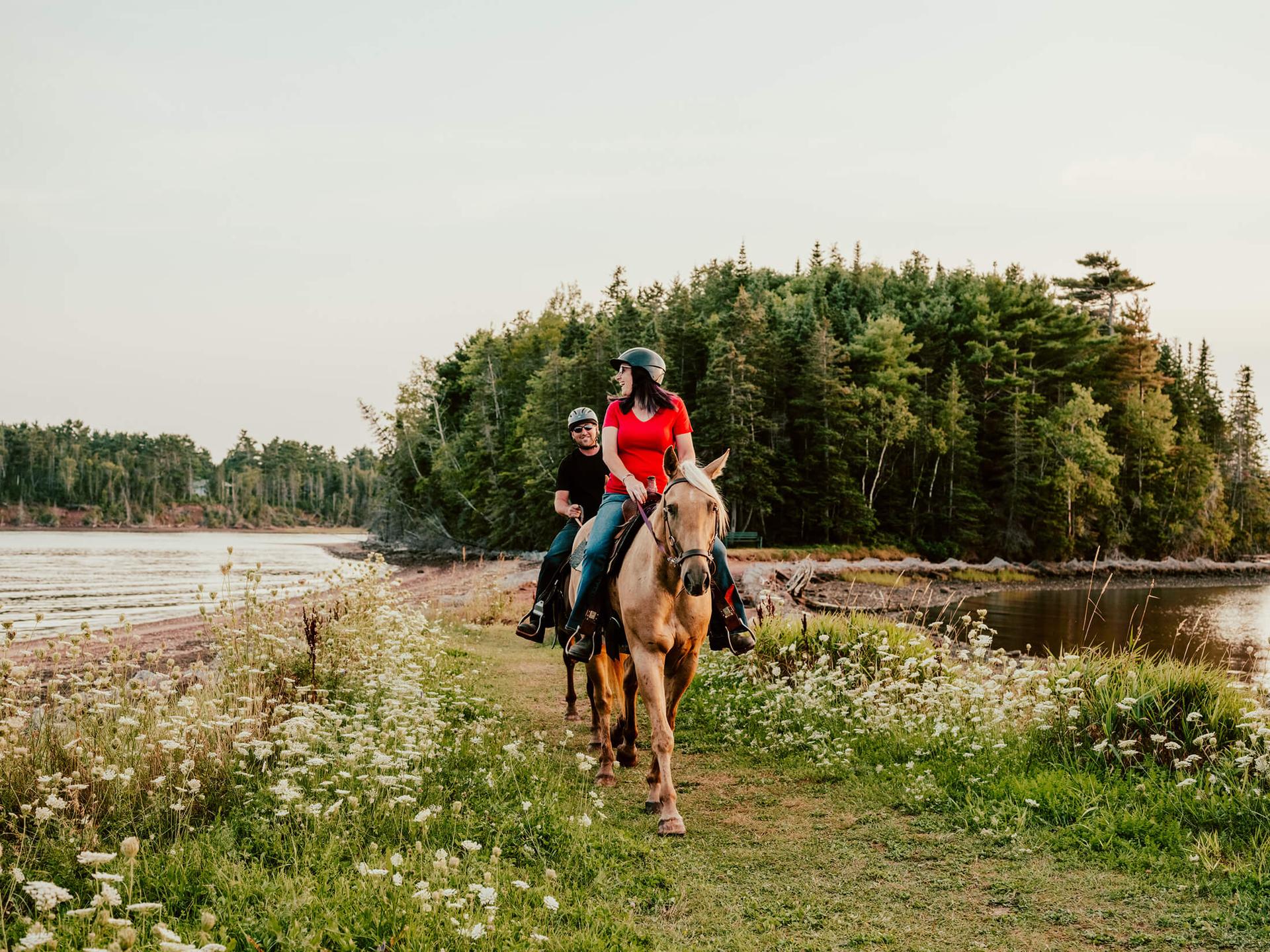 Two people ride horses on a dirt road